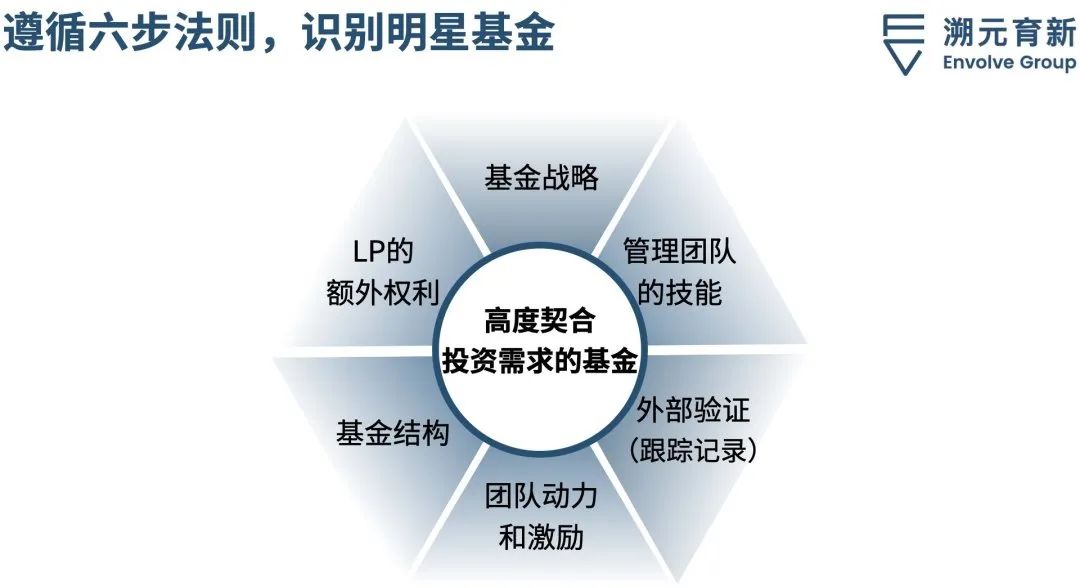 山寨币的未来，展望多元化投资组合的未来
