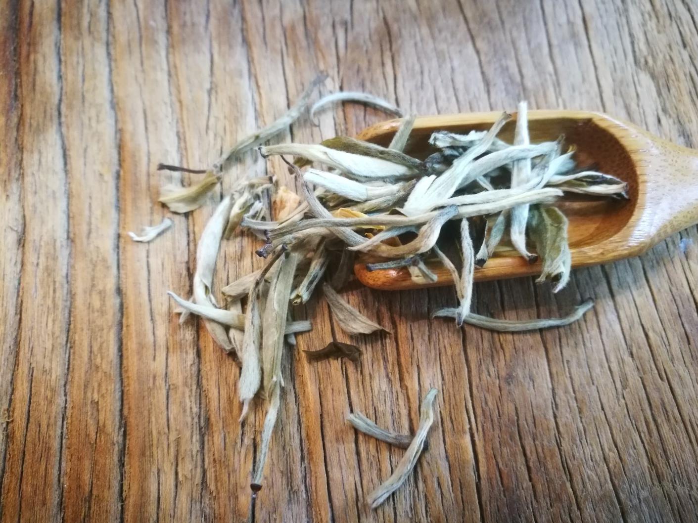 智能交互革命，聊天工具未来趋势深度解码