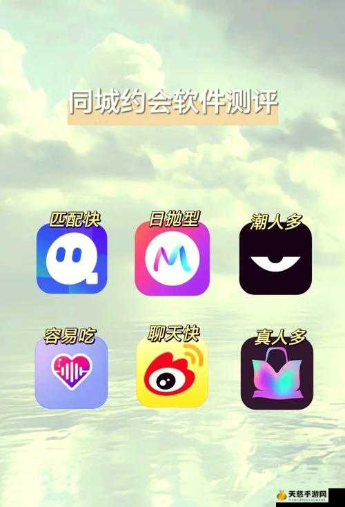 新手必看！适合新手的约会平台全面解析与推荐指南