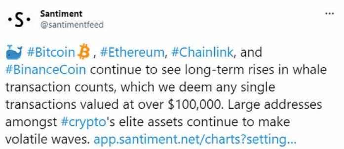 消息人士透露，CoinShares资产管理主管Frank Spiteri已离职，行业内外震动