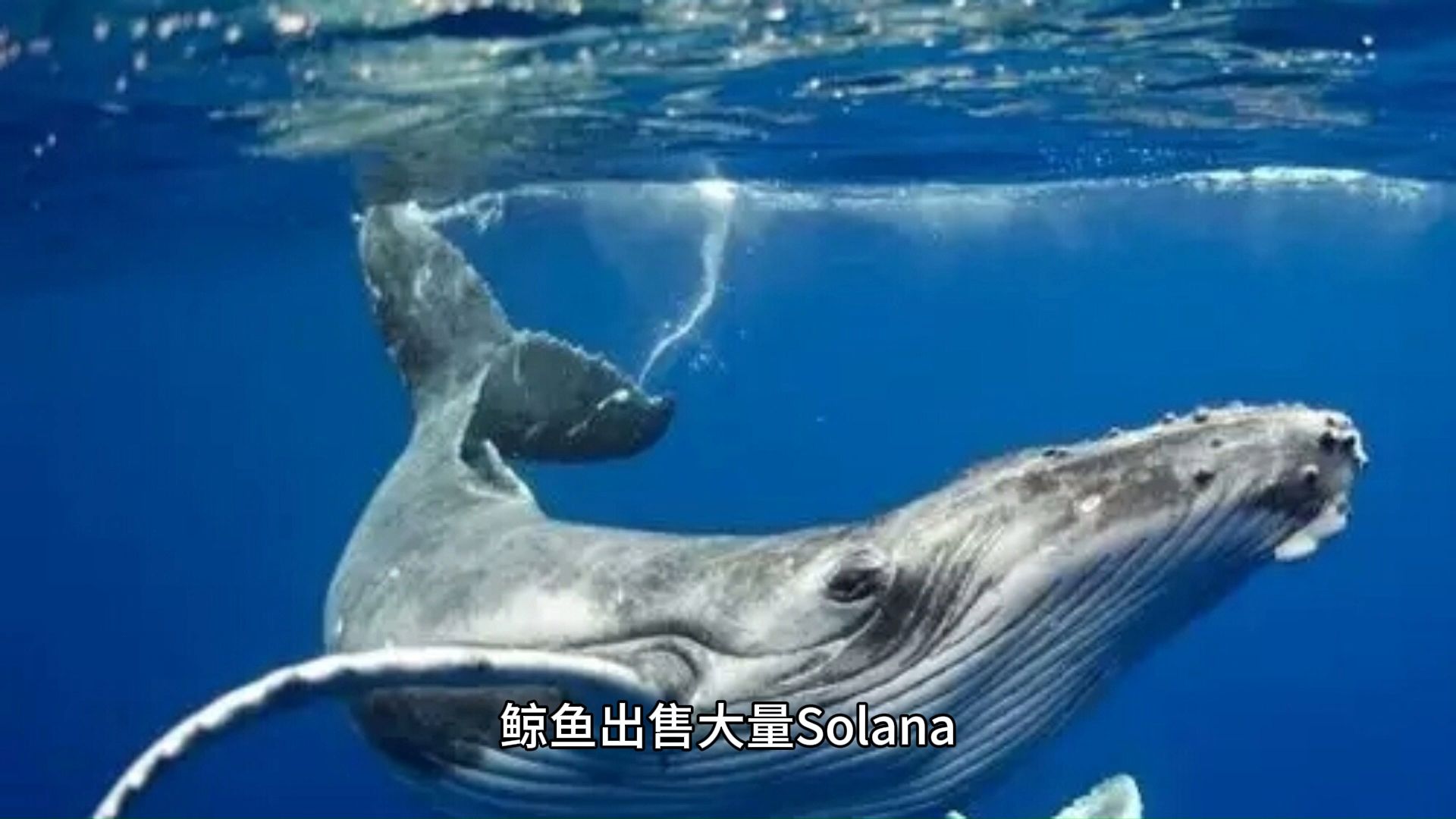 两鲸鱼地址在24小时内出售近15万枚SOL，加密货币市场的最新动态