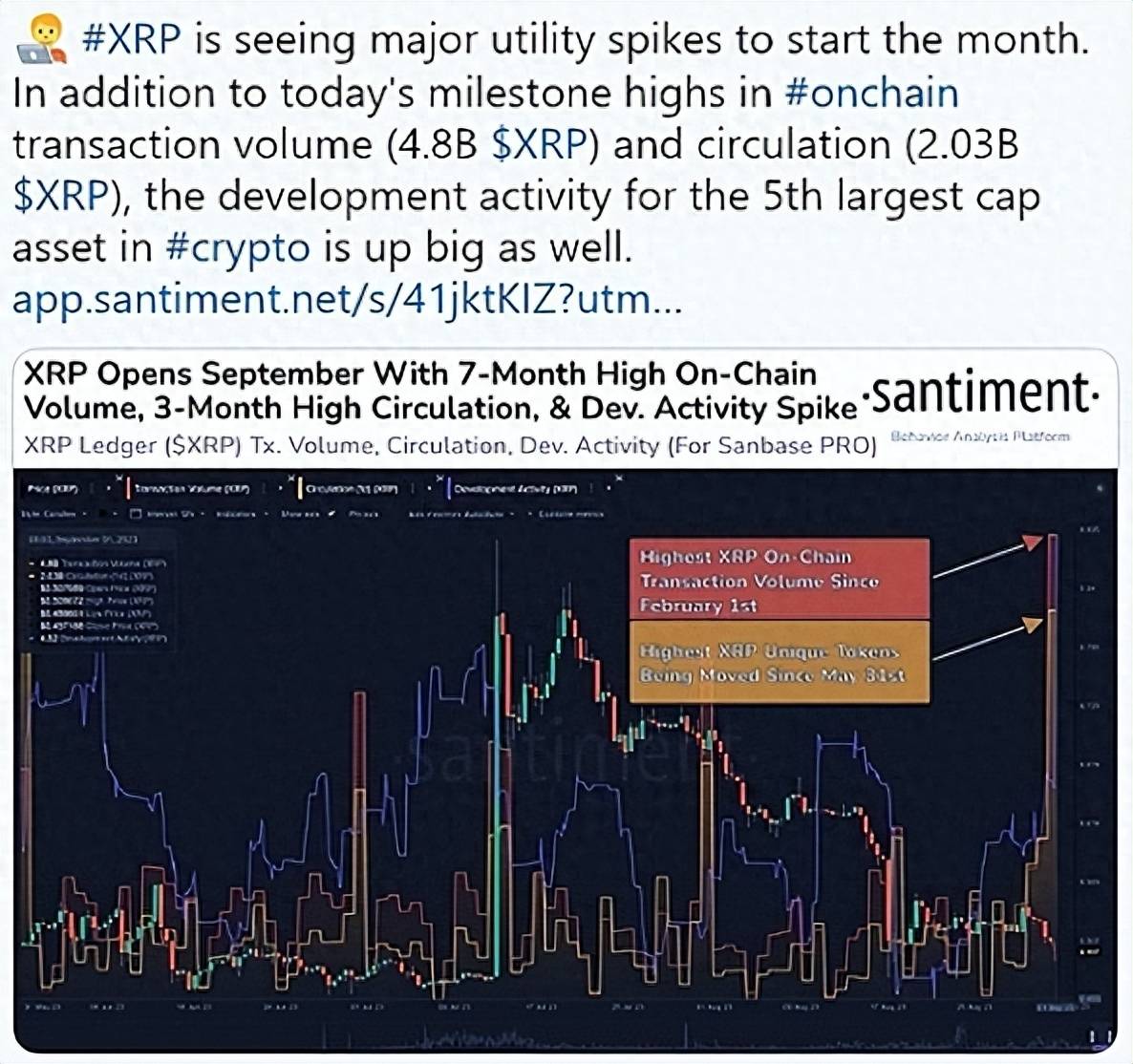 XRP在医疗保健领域的崛起，即将成为主流的最新消息
