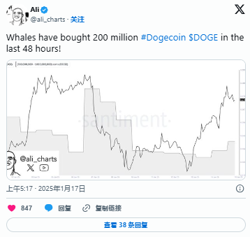 DOGE巨鲸抛售13.2亿代币背后的真相深度解析