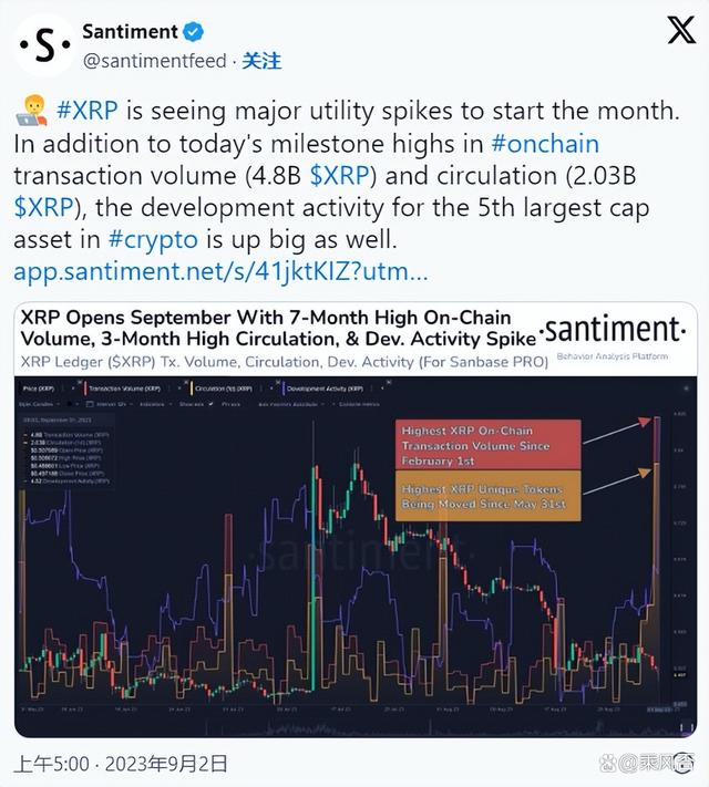 匿名用户转移巨额XRP引发社区热议，一场数字资产的探索之旅
