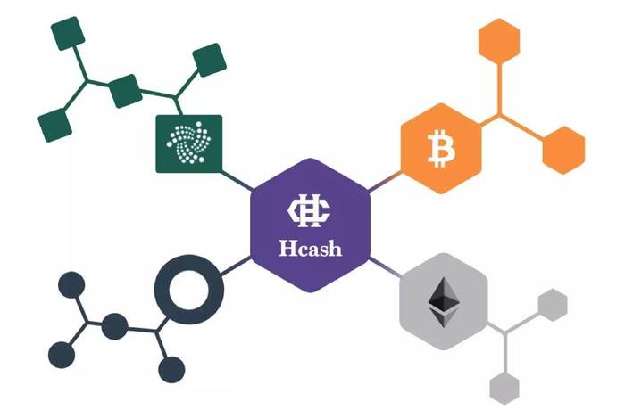 Hedera Hashgraph（HBAR），Hedera 网络——超越传统区块链的革新力量