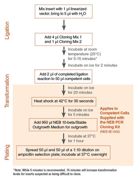 幼儿园与老爷爷也能理解的Model Context Protocol（MCP）