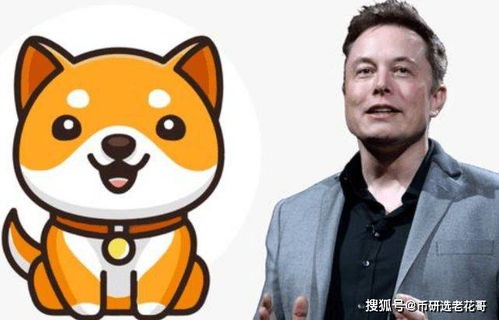 马斯克否认DOGE与官方挂钩，狗狗币未来走向揭秘。