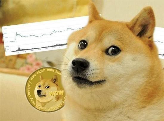 马斯克否认DOGE与美国政府的关系，狗狗币的未来究竟何去何从？