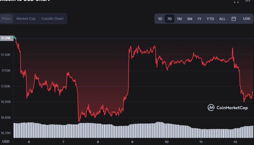 BTC价格陷入双顶模式，未来走势与多种数字货币展望分析
