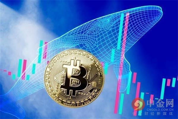 日本的元星球增加1，111比特币，使总持有量达到11，111比特币