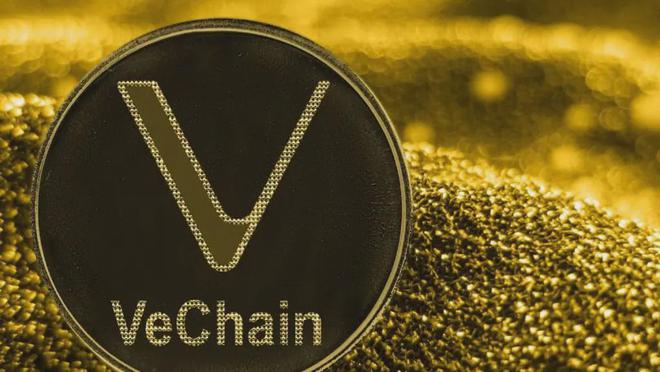 本周值得关注的加密货币：Axelar、Pi Network和Solana