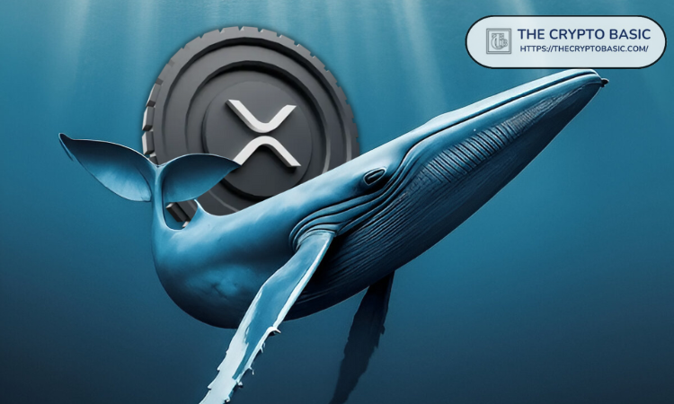 Ripple和XRP对鲸鱼需求震惊交易员，下一步是什么