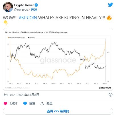 比特币震荡，BTC跌破82000美元背后的市场波动与前景展望