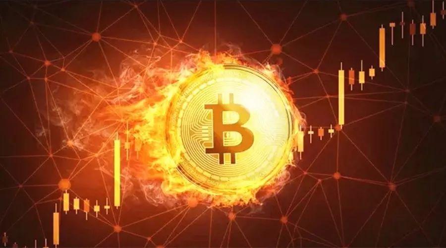 《富爸爸穷爸爸》作者警告称，比特币进入香蕉区，谨防FOMO疾病