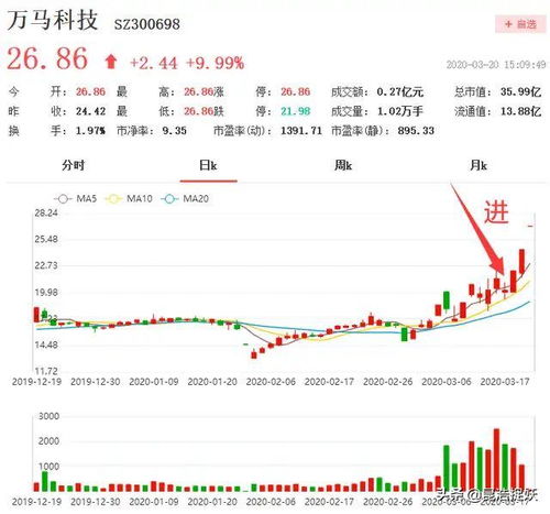 Meme币过去一年市场数据复盘，金狗的出现与捕捉者的数量分析