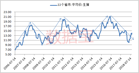 PENGU价格飙升20%，在NFT市场繁荣中触及数月高点