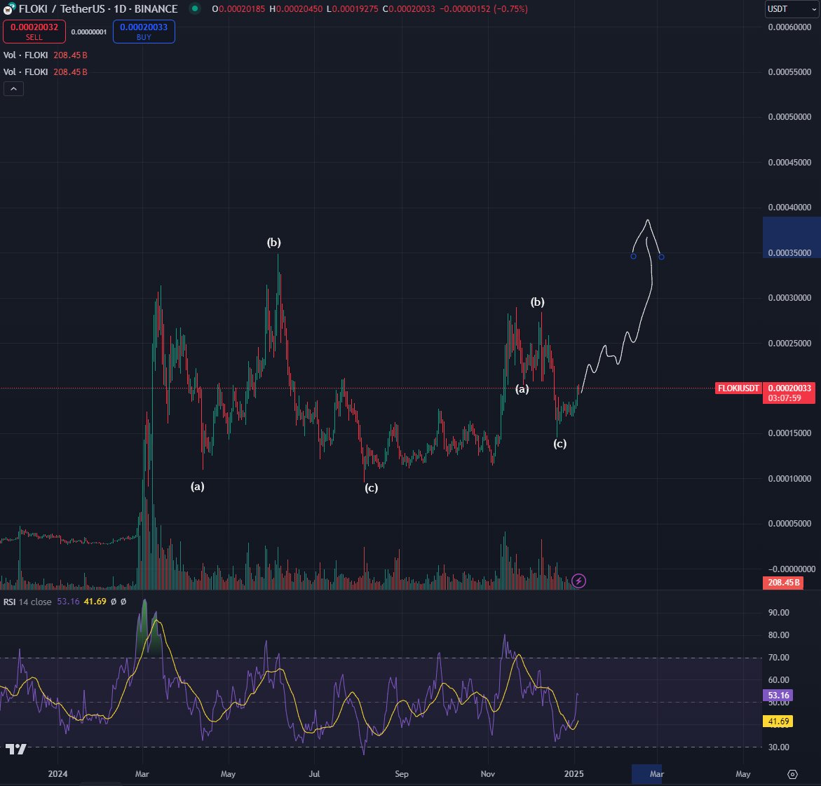 目前最值得购买的Memecoin：SPX、FLOKI、FARTCOIN