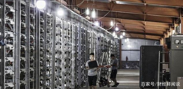 最好的比特币金库公司将演变为离群者|意见