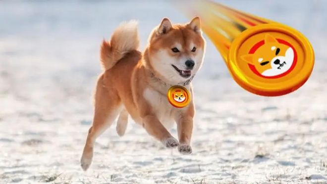 随着鲸鱼活动枯竭，柴犬价格接近大幅波动