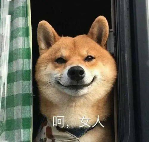 随着鲸鱼活动枯竭，柴犬价格接近大幅波动
