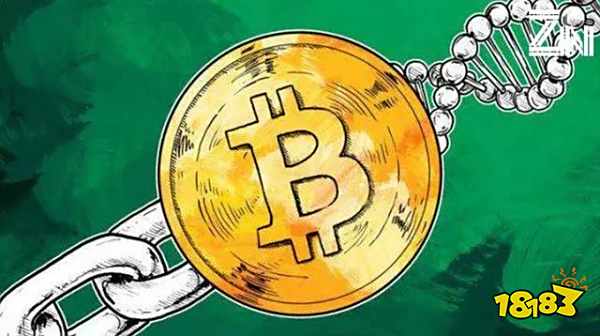 关税和资本管制可能引发区块链网络分裂，高管警告